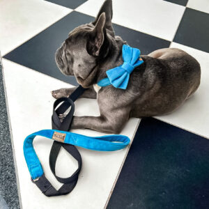 Baby Blue Velvet Sailor Bow Tie