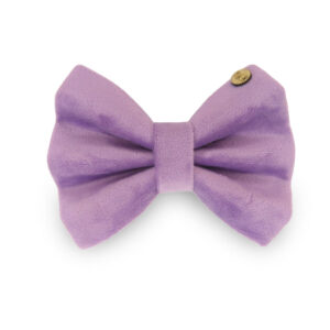 Lavender Purple Velvet Bow Tie